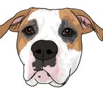 lucy_in_thesky_w_diamonds profile picture