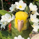 lucyslifericky profile picture
