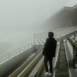 luis.englert_ profile picture