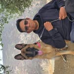 luis_514 profile picture