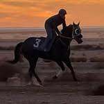 luismuniz_jml profile picture