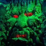 luke___casey profile picture