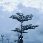 lukitadheeaa profile picture