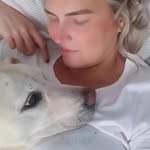 lullybozzi profile picture