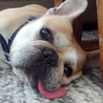 lulu4_youumbba profile picture