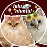 luluandniuniu profile picture