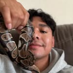 luluis8888 profile picture