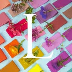 luminary_colour profile picture