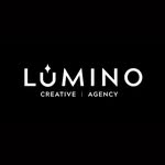 lumino.miami profile picture