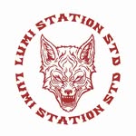 lumistationstd profile picture