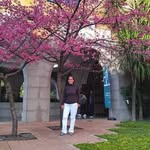 lumodasepresentes.rdgs profile picture