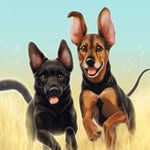 lunabhound profile picture