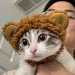 luna_dalnimee profile picture