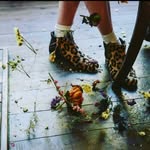 luna_moss profile picture