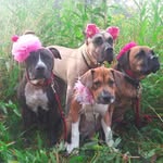 luna_the_presa_of_positivity profile picture