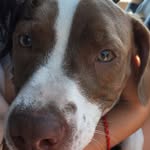 luna_vonvon15 profile picture