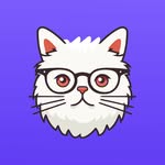 lune.app profile picture