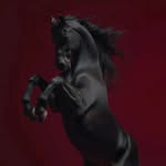 luxvioria profile picture
