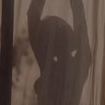 lynettejean profile picture
