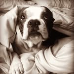 lynnandcompany profile picture