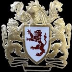 lyonscosmeticsurgerycenter profile picture