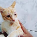 m.mohamedmn profile picture