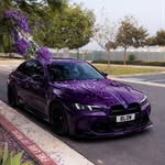 m3.8low profile picture