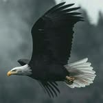 m_abdulrehman_aqib profile picture