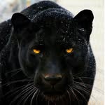 m_r_slax profile picture