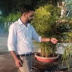m_singh_.ms profile picture