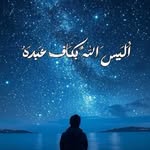 maab.fadlalla9 profile picture