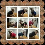 mabelclases profile picture