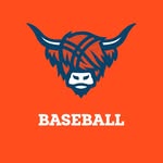 macalesterbaseball profile picture