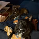 macchiatoandmocha profile picture