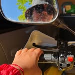 macedotassiana profile picture