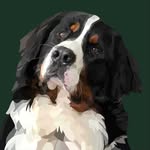 mack_the_berner profile picture