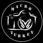 macro_turkey profile picture