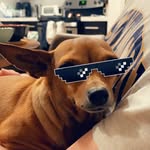 madamesquishe profile picture