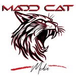 maddcatmedia profile picture