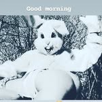 maddrabbit_ profile picture