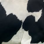 madeinlatinamerica_ profile picture