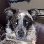 madeline.bredahl profile picture