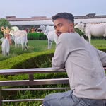 madhuresh2301 profile picture