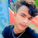 madilmolla profile picture