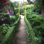 madoogardens profile picture