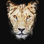 madrup_patel__7990 profile picture