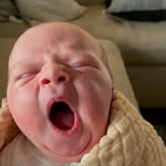 maemaebair profile picture