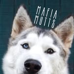 mafia.mutts profile picture