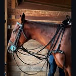 maggie_marinaccio profile picture