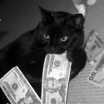 maggiesambrook profile picture
